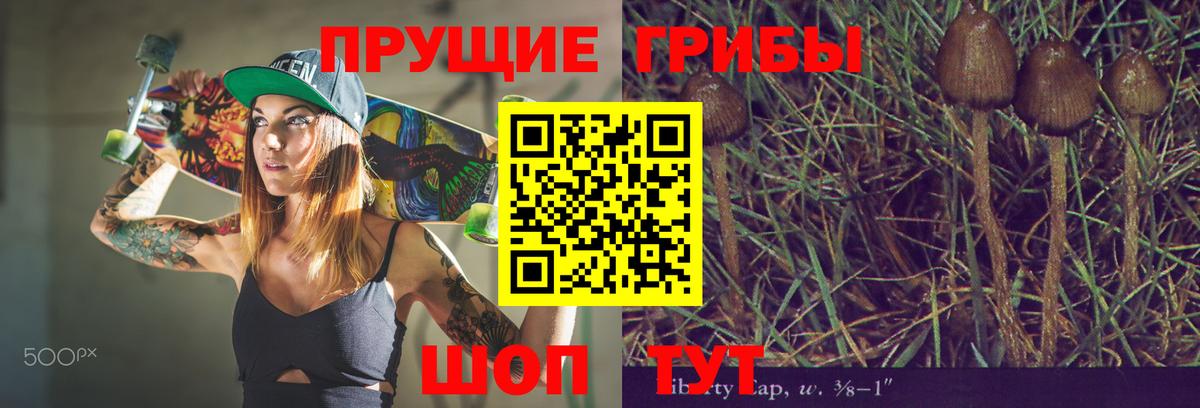 Полевской  закладки  Вход с VPN  Галлюциногенные грибы GOLDEN TEACHER 