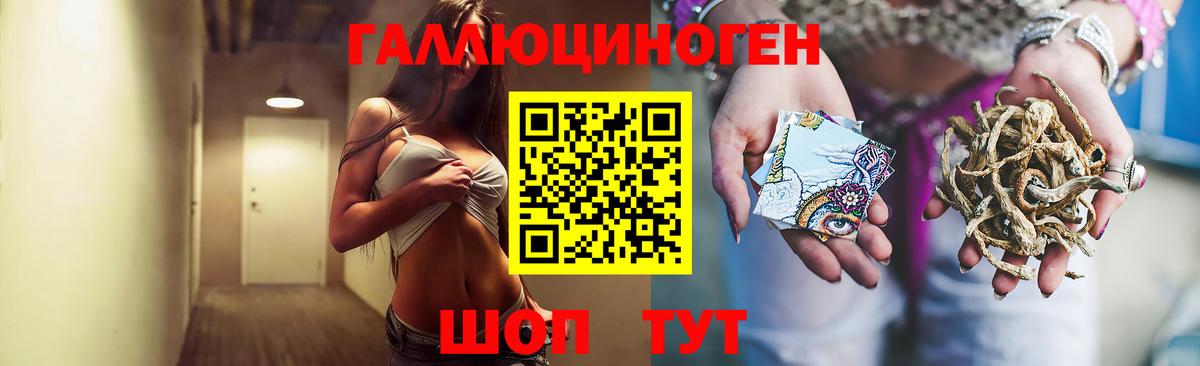 Псилоцибиновые грибы GOLDEN TEACHER Полевской